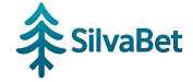 SilvaBet Güncel Giriş Adresi – SilvaBet Yeni Üyelik